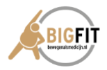 bigfit